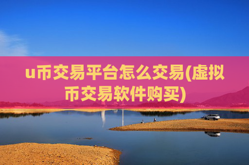 u币交易平台怎么交易(虚拟币交易软件购买)