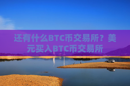 还有什么BTC币交易所?美元买入BTC币交易所