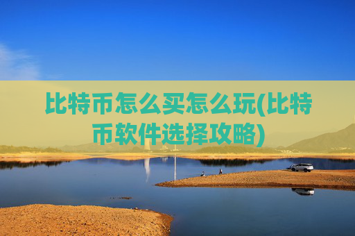比特币怎么买怎么玩(比特币软件选择攻略)