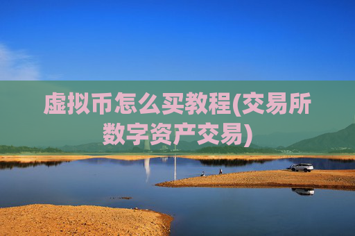 虚拟币怎么买教程(交易所数字资产交易)