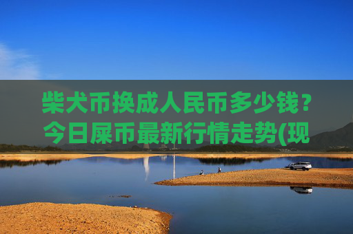 柴犬币换成人民币多少钱？今日屎币最新行情走势(现价0.0002184元)
