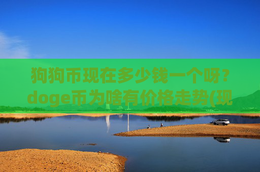 狗狗币现在多少钱一个呀？doge币为啥有价格走势(现价3.0243元)