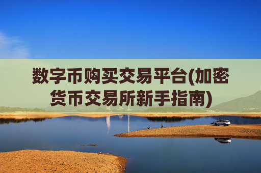 数字币购买交易平台(加密货币交易所新手指南)