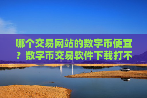 哪个交易网站的数字币便宜?数字币交易软件下载打不开