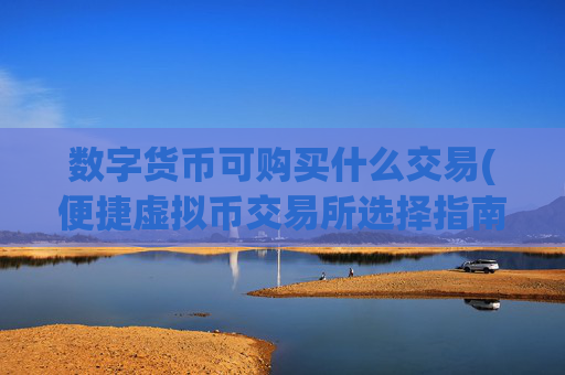 数字货币可购买什么交易(便捷虚拟币交易所选择指南)
