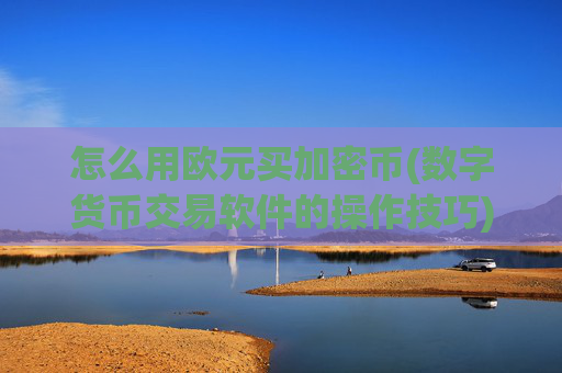 怎么用欧元买加密币(数字货币交易软件的操作技巧)