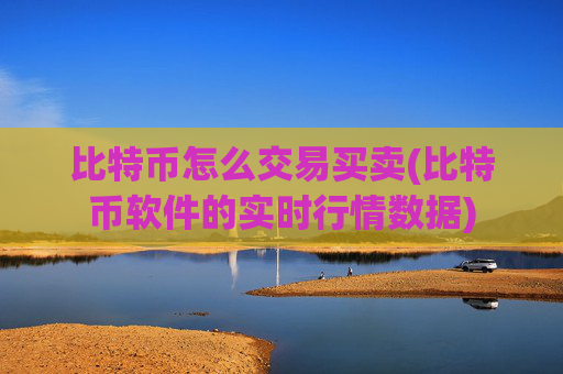比特币怎么交易买卖(比特币软件的实时行情数据)