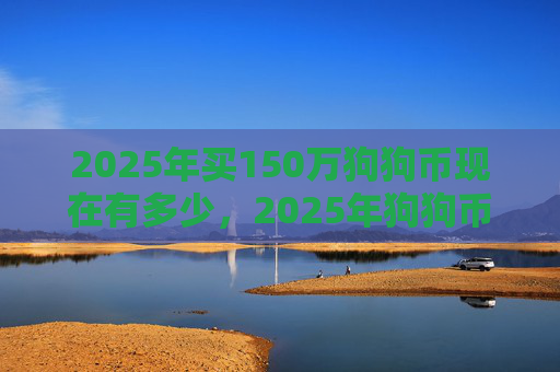 2025年买150万狗狗币现在有多少，2025年狗狗币投资回报分析