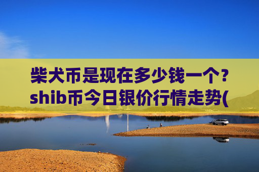 柴犬币是现在多少钱一个？shib币今日银价行情走势(现价0.00021724元)