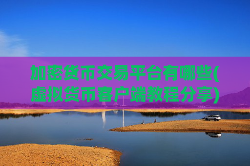 加密货币交易平台有哪些(虚拟货币客户端教程分享)