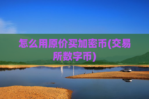 怎么用原价买加密币(交易所数字币)