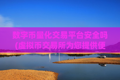 数字币量化交易平台安全吗(虚拟币交易所为您提供便捷服务)