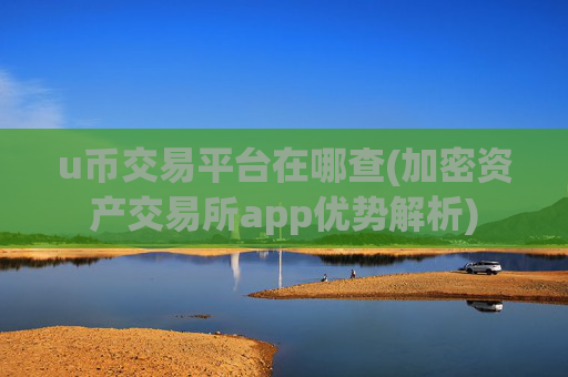 u币交易平台在哪查(加密资产交易所app优势解析)