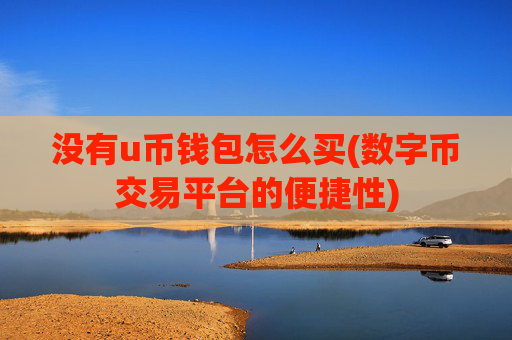 没有u币钱包怎么买(数字币交易平台的便捷性)