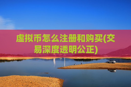 虚拟币怎么注册和购买(交易深度透明公正)