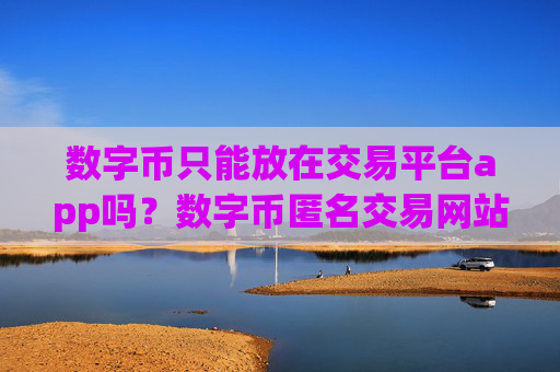 数字币只能放在交易平台app吗？数字币匿名交易网站