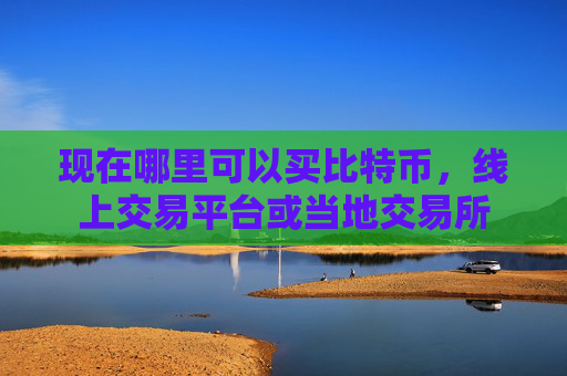 现在哪里可以买比特币，线上交易平台或当地交易所