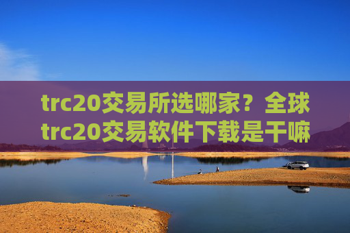 trc20交易所选哪家?全球trc20交易软件下载是干嘛的