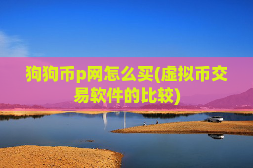 狗狗币p网怎么买(虚拟币交易软件的比较)