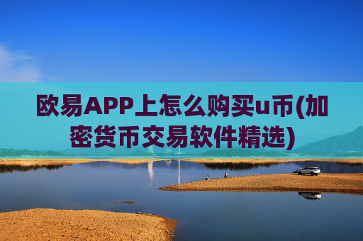 欧易APP上怎么购买u币(加密货币交易软件精选)