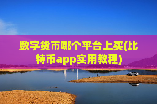 数字货币哪个平台上买(比特币app实用教程)