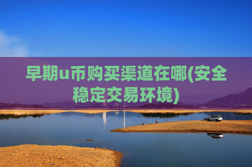 早期u币购买渠道在哪(安全稳定交易环境)