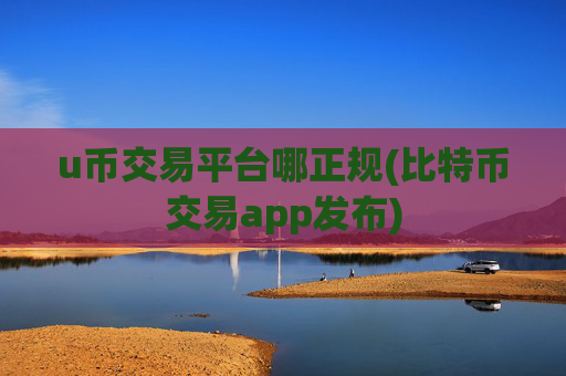 u币交易平台哪正规(比特币交易app发布)