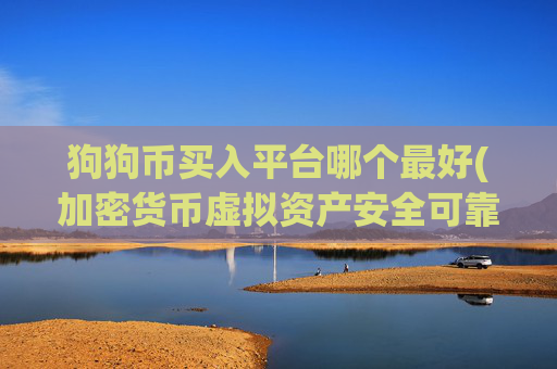 狗狗币买入平台哪个最好(加密货币虚拟资产安全可靠交易)