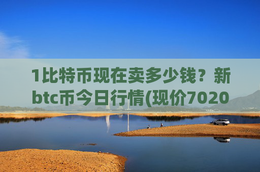 1比特币现在卖多少钱？新btc币今日行情(现价702011.11元)