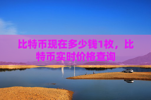 比特币现在多少钱1枚，比特币实时价格查询
