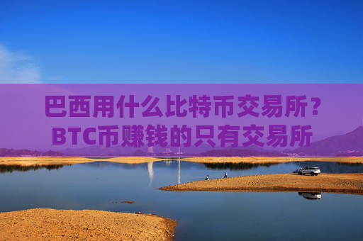 巴西用什么比特币交易所？BTC币赚钱的只有交易所