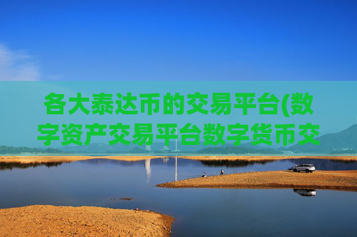 各大泰达币的交易平台(数字资产交易平台数字货币交易)