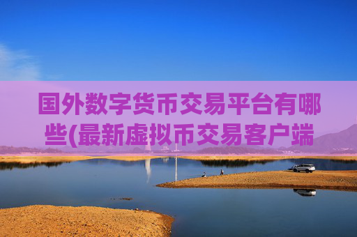 国外数字货币交易平台有哪些(最新虚拟币交易客户端)