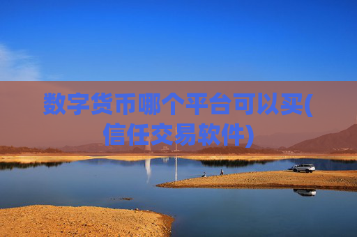 数字货币哪个平台可以买(信任交易软件)