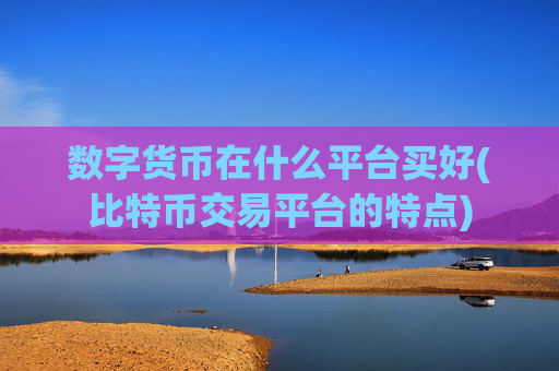 数字货币在什么平台买好(比特币交易平台的特点)