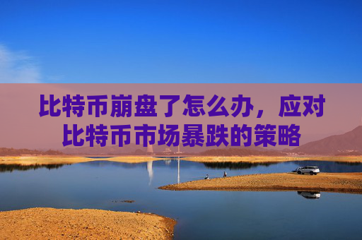 比特币崩盘了怎么办,应对比特币市场暴跌的策略