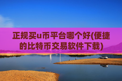 正规买u币平台哪个好(便捷的比特币交易软件下载)