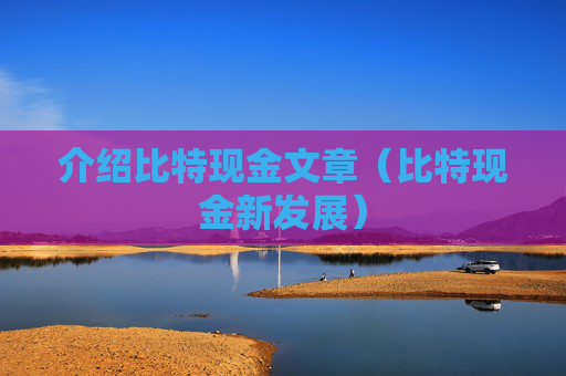 介绍比特现金文章(比特现金新发展)