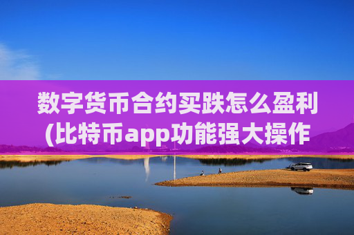 数字货币合约买跌怎么盈利(比特币app功能强大操作简单)