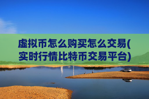 虚拟币怎么购买怎么交易(实时行情比特币交易平台)