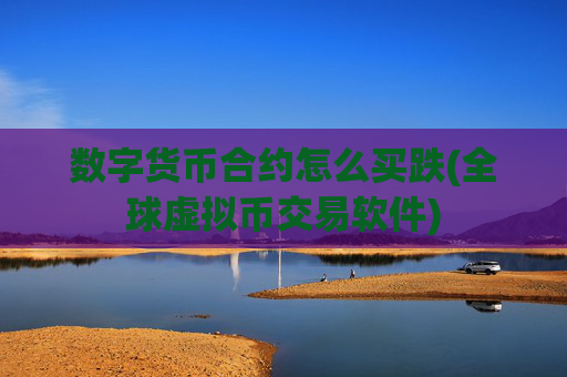 数字货币合约怎么买跌(全球虚拟币交易软件)