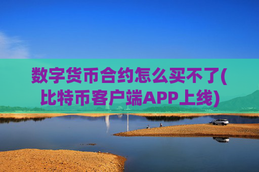 数字货币合约怎么买不了(比特币客户端APP上线)