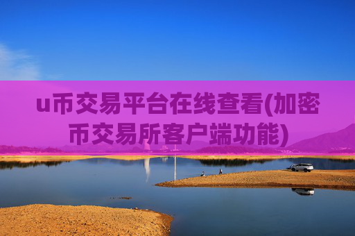 u币交易平台在线查看(加密币交易所客户端功能)