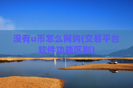 没有u币怎么网购(交易平台软件功能区别)