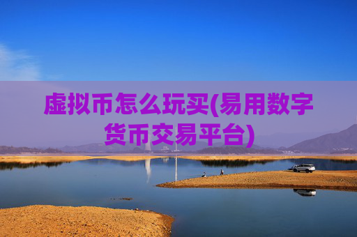 虚拟币怎么玩买(易用数字货币交易平台)