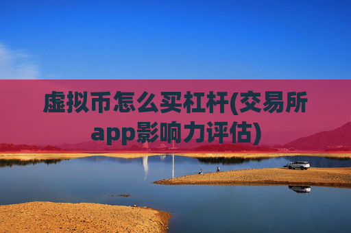 虚拟币怎么买杠杆(交易所app影响力评估)
