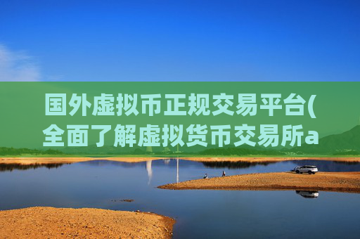 国外虚拟币正规交易平台(全面了解虚拟货币交易所app)