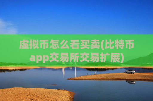 虚拟币怎么看买卖(比特币app交易所交易扩展)