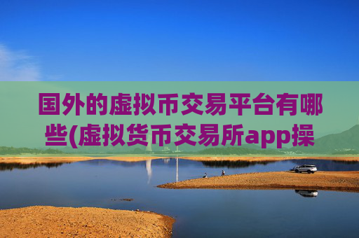 国外的虚拟币交易平台有哪些(虚拟货币交易所app操作指导)