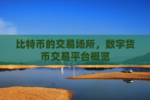 比特币的交易场所,数字货币交易平台概览